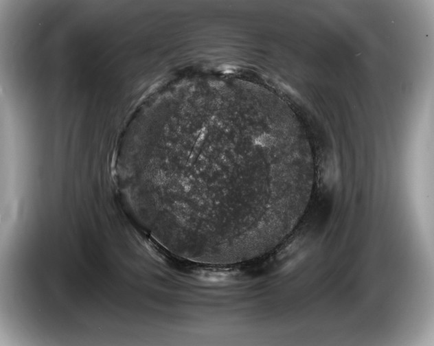 X0000087520661200704271141