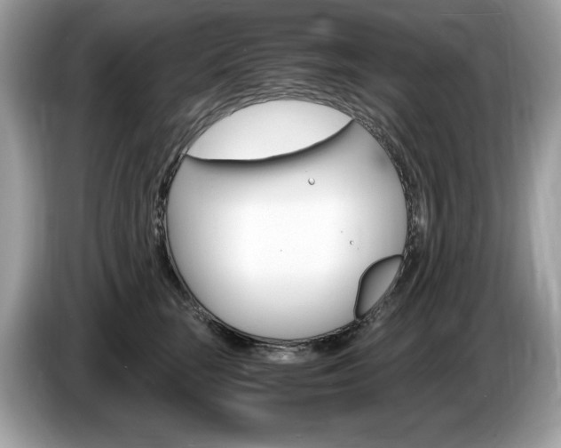 X0000087520663200704271141