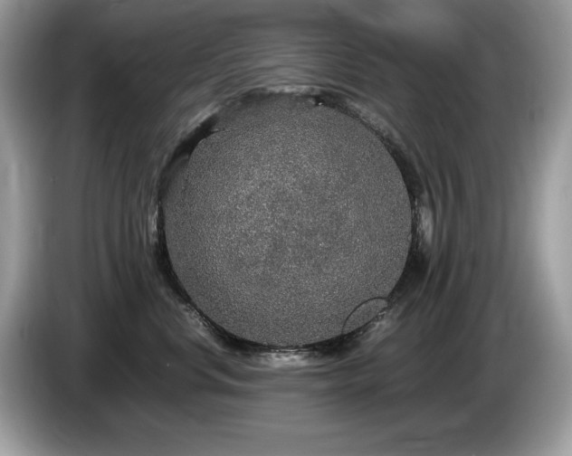 X0000087520668200704271141