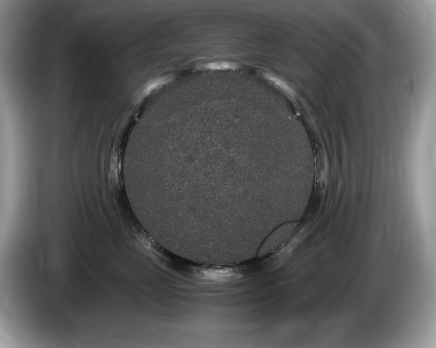 X0000087520669200704271141