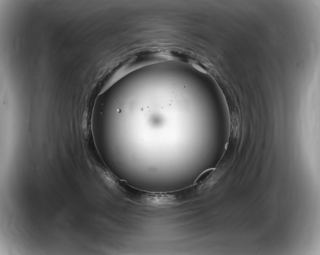 X0000087520670200704271141