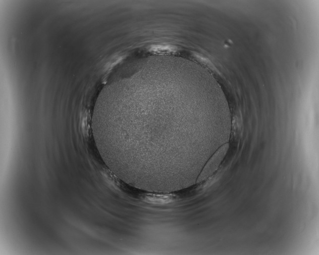 X0000087520671200704271141