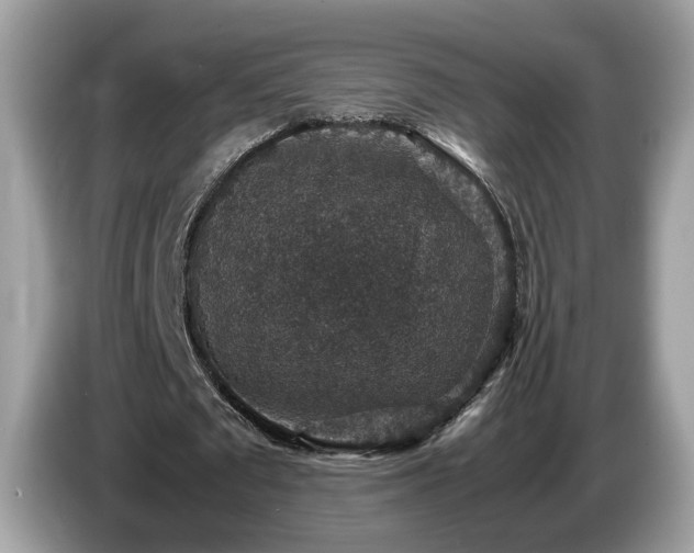 X0000087520673200704271141