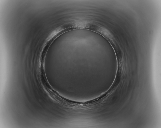 X0000087520674200704271141