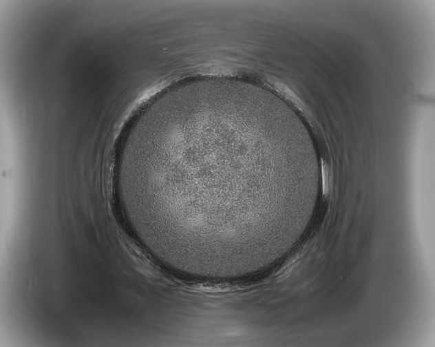 X0000087520675200704271141