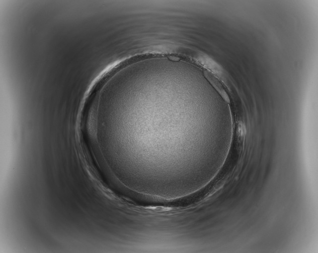 X0000087520676200704271141