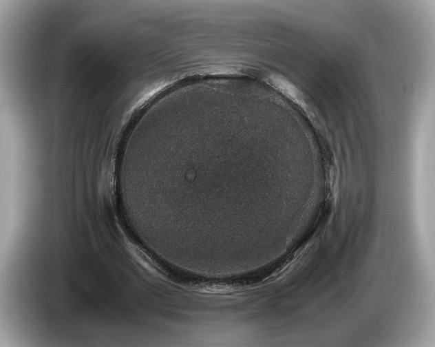 X0000087520677200704271141