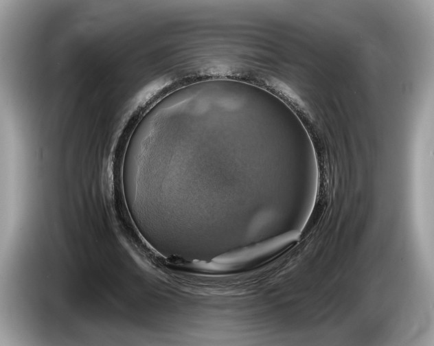 X0000087520678200704271141