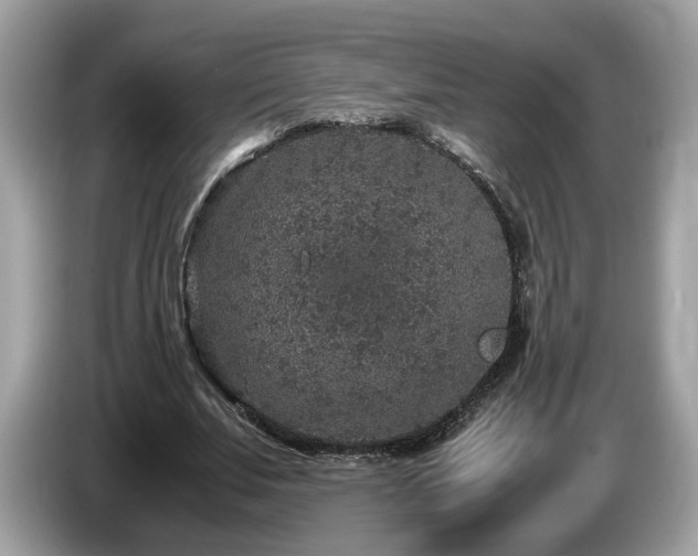 X0000087520679200704271141