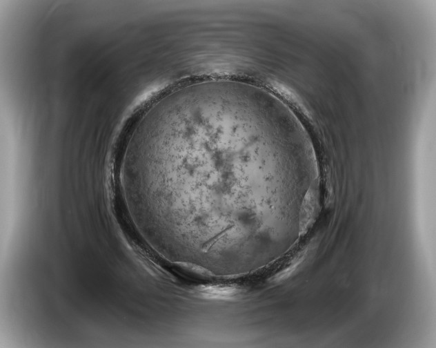 X0000087520680200704271141
