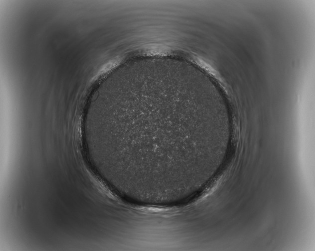 X0000087520681200704271141
