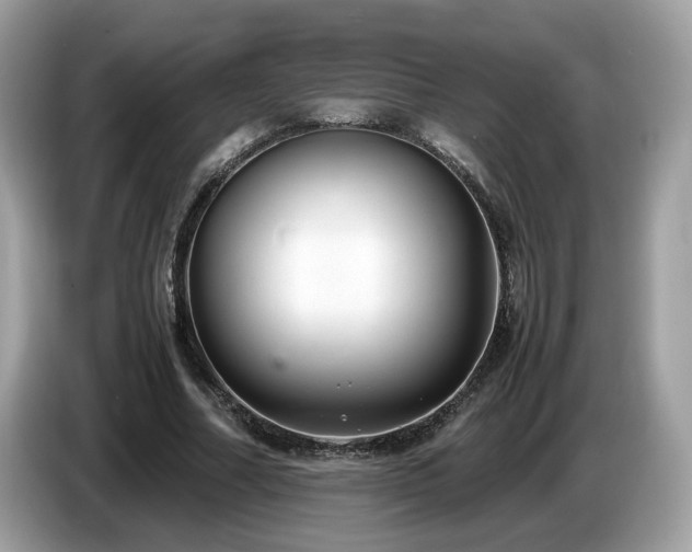 X0000087520682200704271141