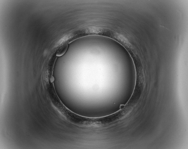 X0000087520683200704271141