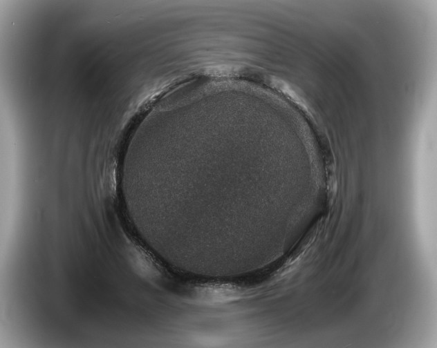 X0000087520685200704271141