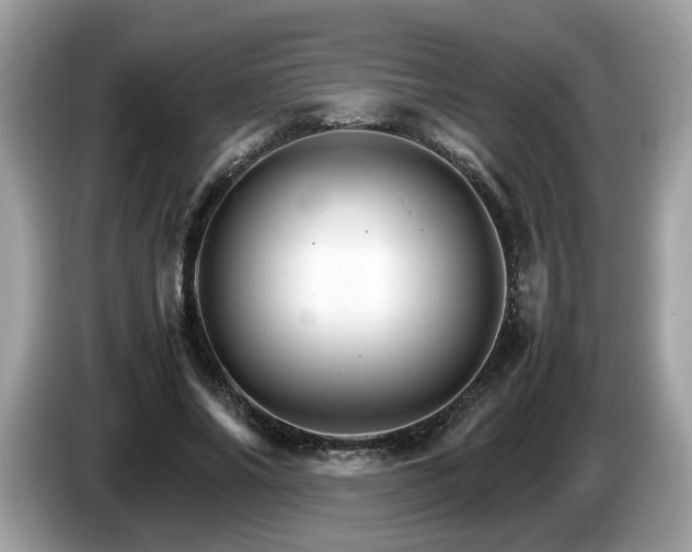 X0000087520686200704271141