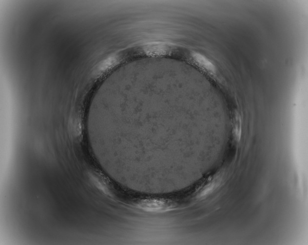 X0000087520687200704271141