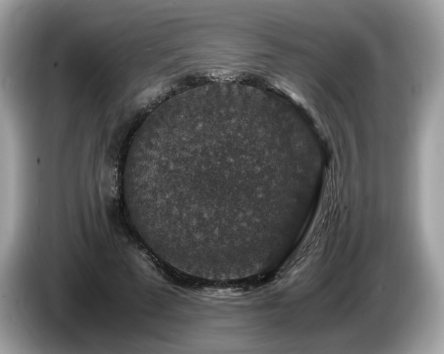 X0000087520689200704271141