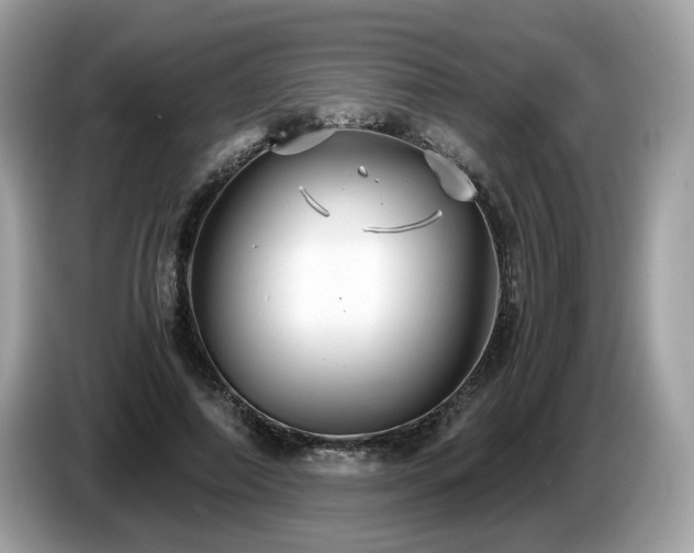 X0000087520690200704271141