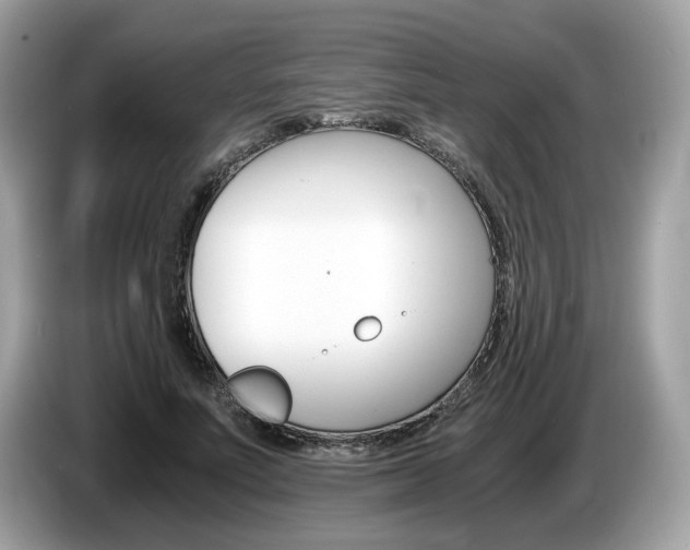 X0000087520691200704271141