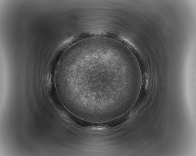 X0000087520692200704271140
