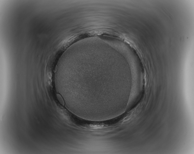 X0000087520693200704271140