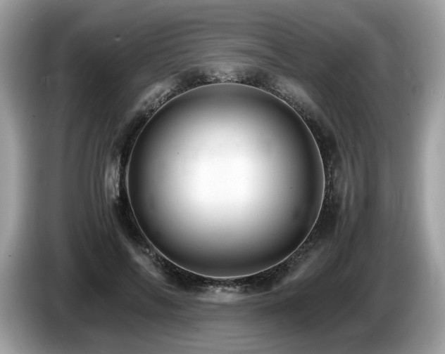 X0000087520694200704271140