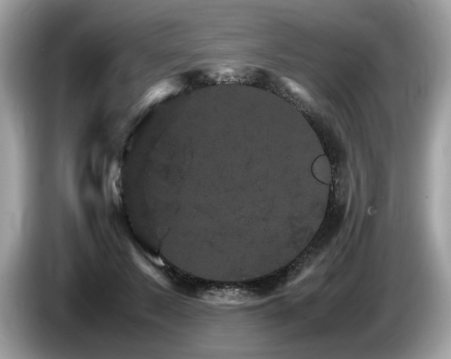 X0000087520695200704271140