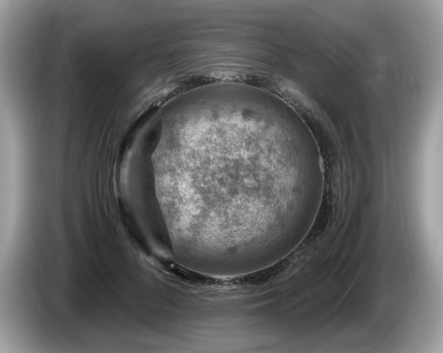 X0000087520696200704271140