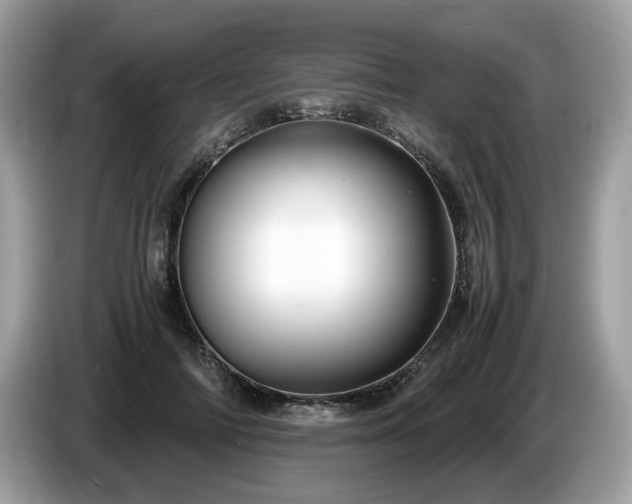X0000087520698200704271140