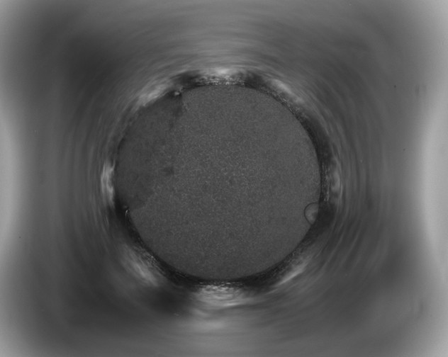 X0000087520699200704271140