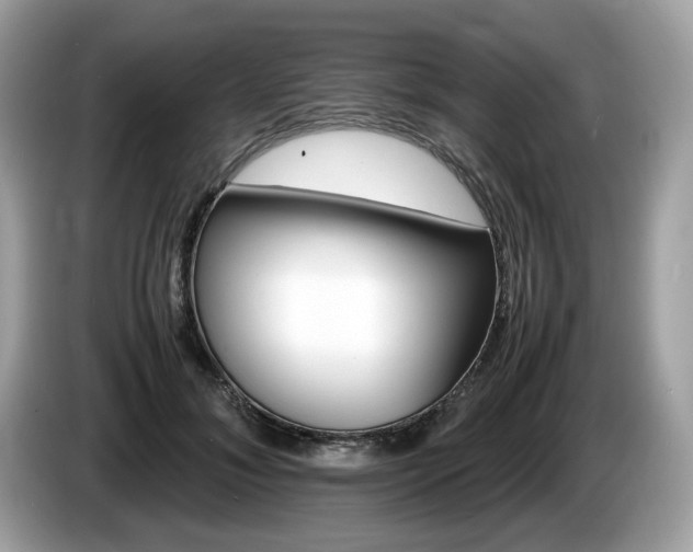 X0000087520700200704271140