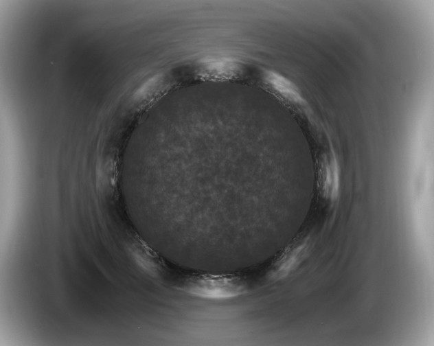 X0000087520701200704271140