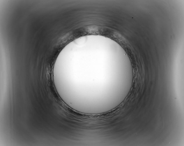 X0000087520702200704271140