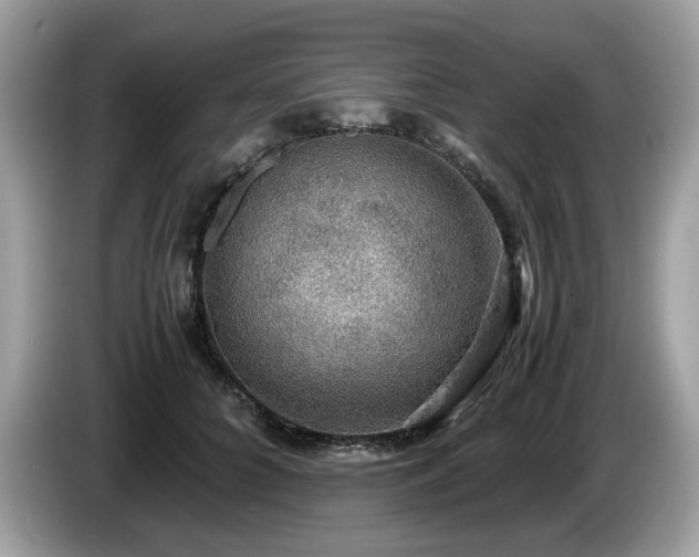 X0000087520704200704271140