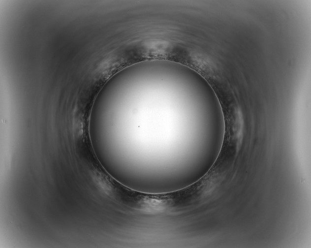 X0000087520706200704271140