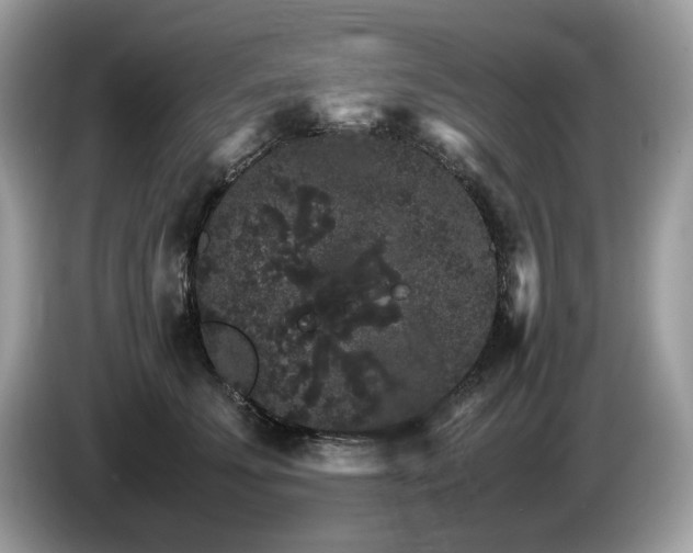 X0000087520707200704271140