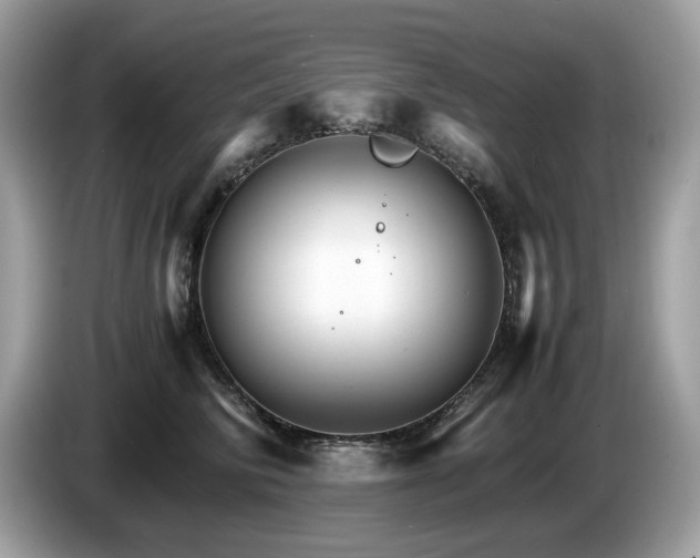 X0000087520710200704271140