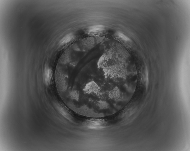X0000087520711200704271140