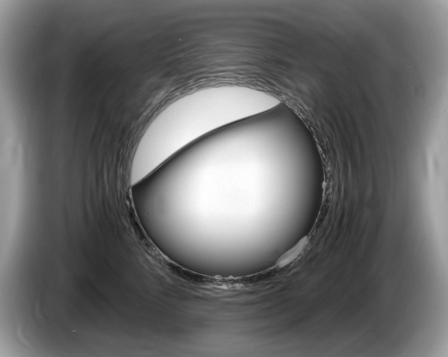 X0000087520712200704271140