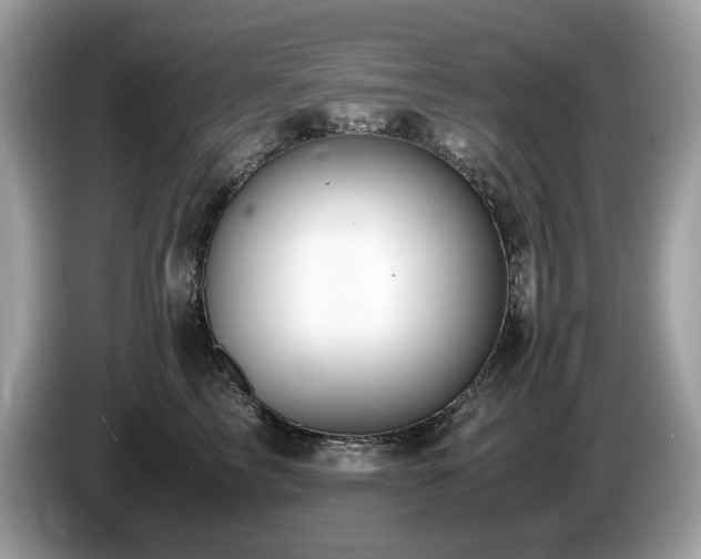 X0000087520713200704271140