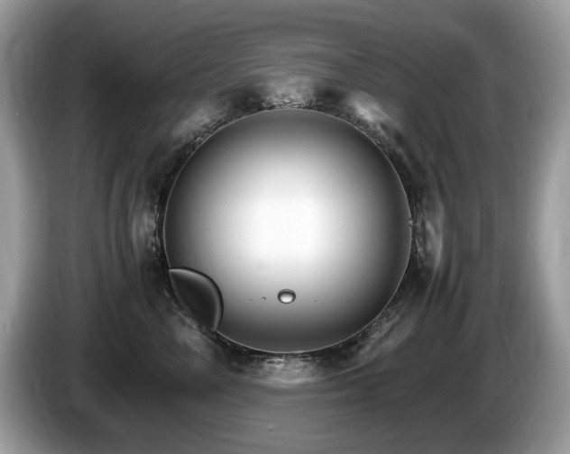 X0000087520714200704271140