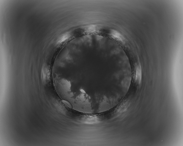 X0000087520715200704271140
