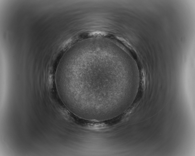 X0000087520716200704271140
