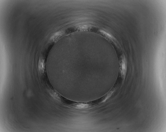 X0000087520718200704271140