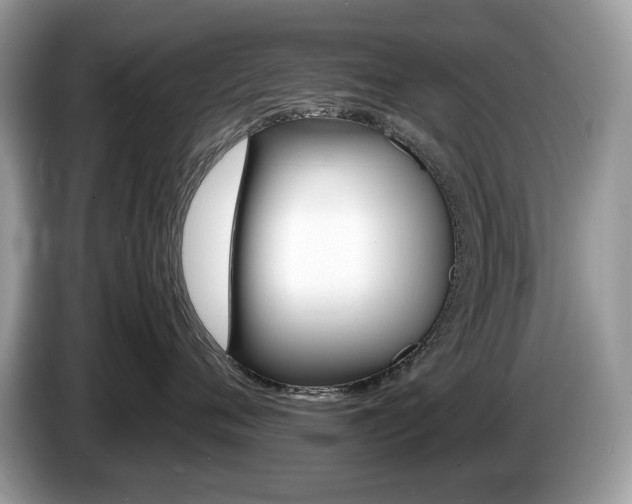 X0000087520720200704271140