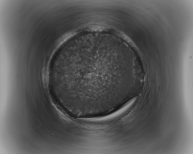 X0000087520722200704271140