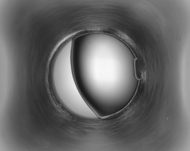 X0000087520724200704271140