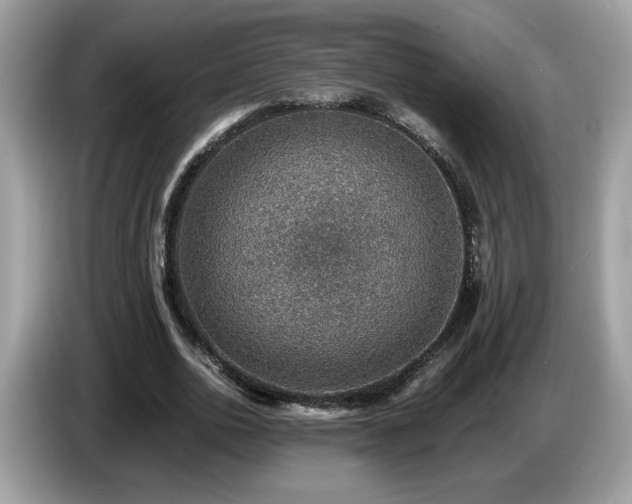 X0000087520726200704271140