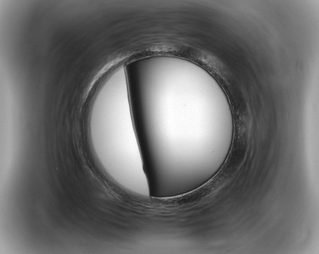 X0000087520727200704271140