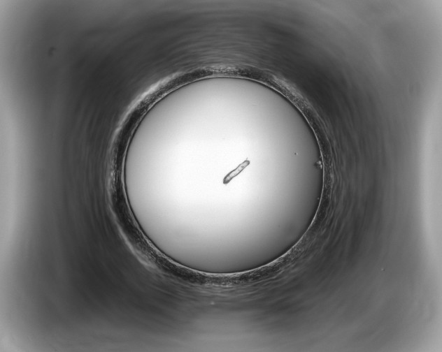 X0000087520728200704271140